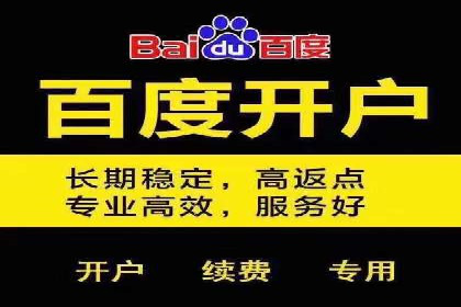 某公司信息流广告的精准投放与效果评估